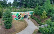 Many Journeys, One Path: Cary Celebrates 100 Miles of Greenways
