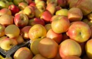Move Over, Summer Squash! It’s Time for All Things Autumn!
