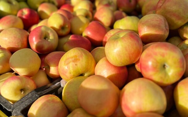 Move Over, Summer Squash! It’s Time for All Things Autumn!